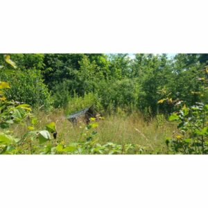 Bushmen Thermo Tarp 2×3 Camo - Image 8