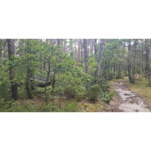 Bushmen Thermo Tarp 3×3 Camo - Image 6