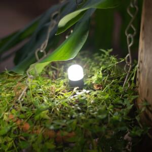 Luci Solar Site Lites - Image 17