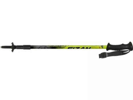 Fizan Explorer trekking poles