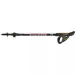 Fizan R Evolution Pro Nordic Walking poles