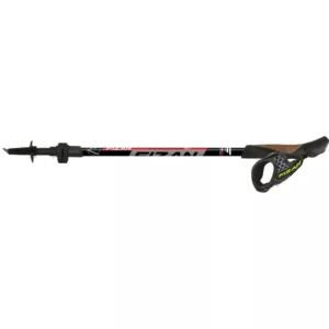 Fizan R Evolution Pro Nordic Walking poles