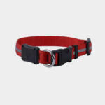Nite Dawg Led Dog Collar