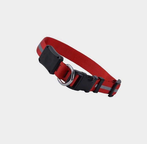 Nite Dawg Led Dog Collar Small Red