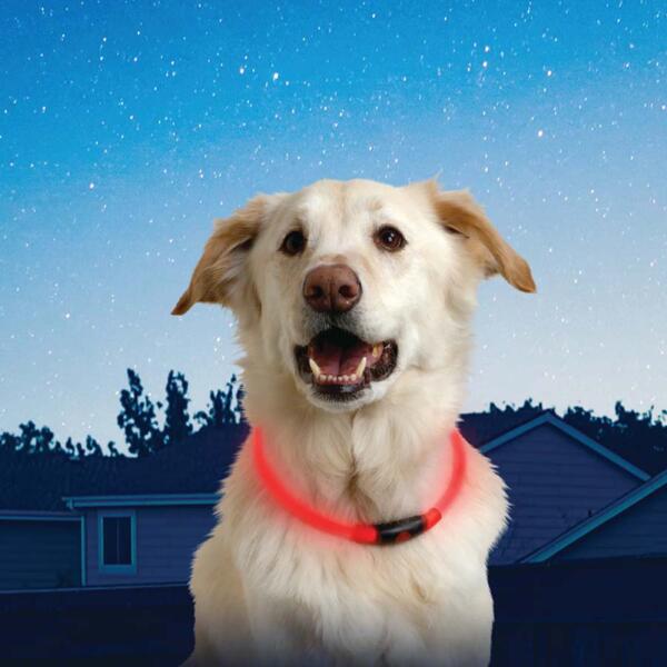 Nitehowl Led Safety Necklace Red
