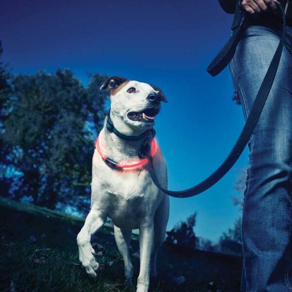 Nitehowl Led Safety Necklace Red