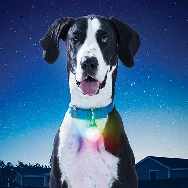 Spotlit Xl Rechargeable Carabiner Light Disc-O Select