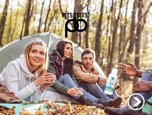 Pits and Bits Brand page image